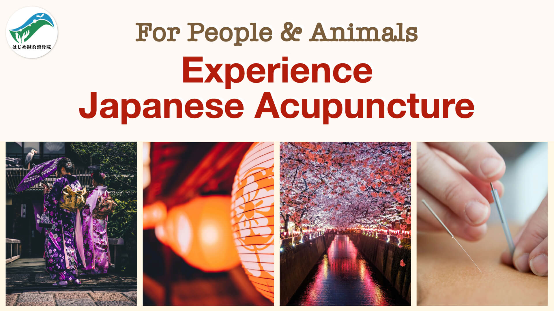 Experience Acupuncture for People and Animals