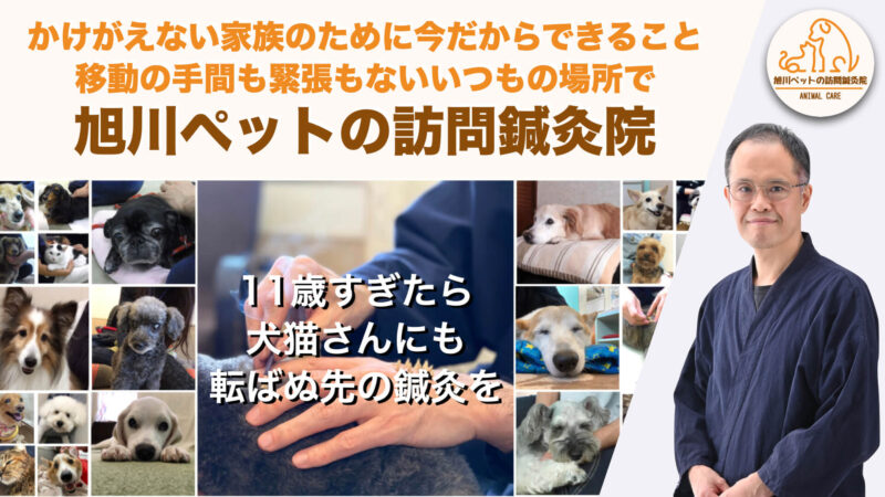 旭川ペットの訪問鍼灸院