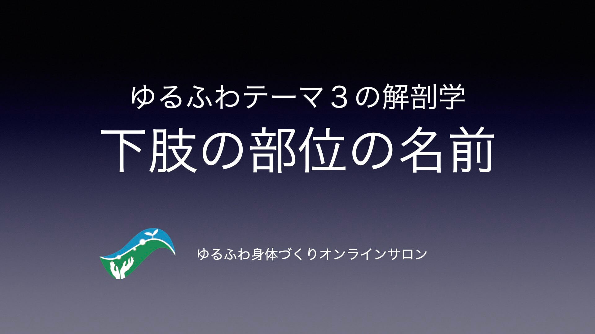 下肢のゆるふわ解剖学01